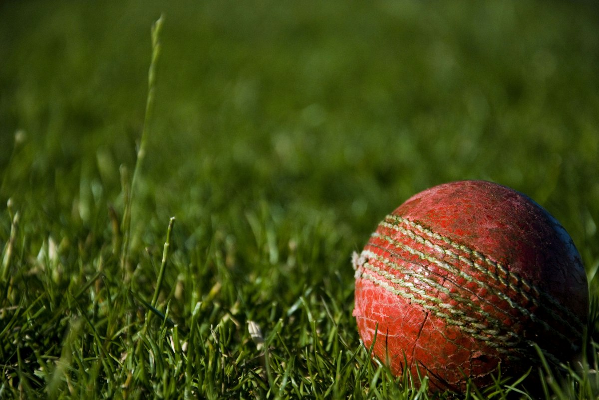 Cricket ball in grass